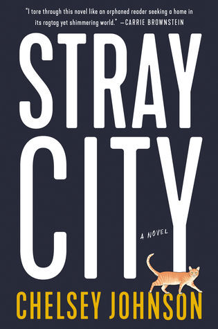 ART OF-stray city.jpg